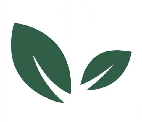 Leaf Safe Guttering