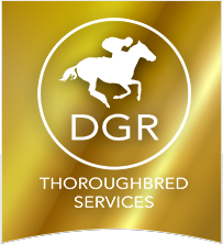 DGR THOROUGHBRED SERVICES PTY LTD