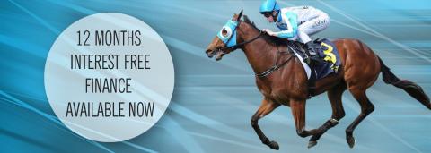 Elite Thoroughbreds Pty Ltd